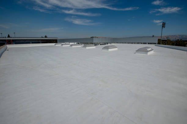 Best Roof Maintenance and Cleaning  in Winfield, WV