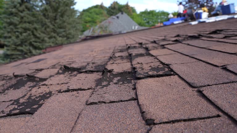 Best Gutter Installation and Repair  in Winfield, WV