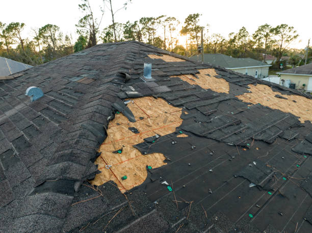 Best Commercial Roofing Services  in Winfield, WV