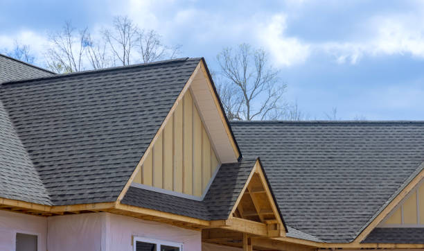 Best Roof Moss and Algae Removal  in Winfield, WV